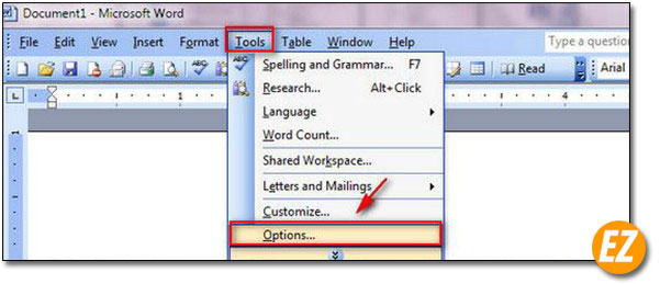 Vào options trong word 2003