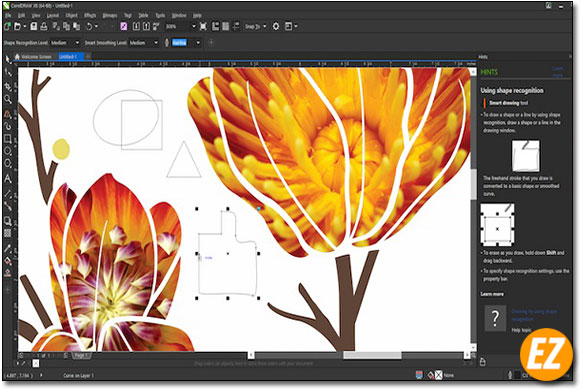 Corel Draw là gì ? Ưu nhược điểm của Corel ngày nay