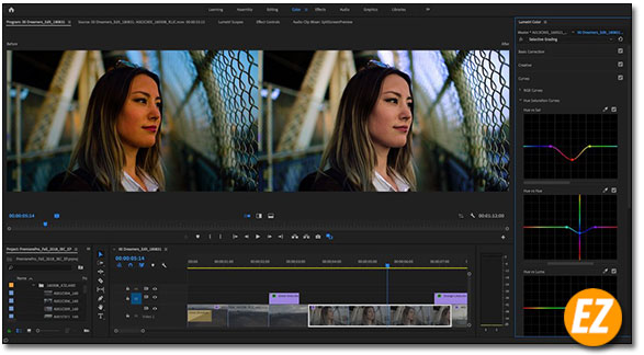 Adobe-Premiere Pro CC 2020 Full