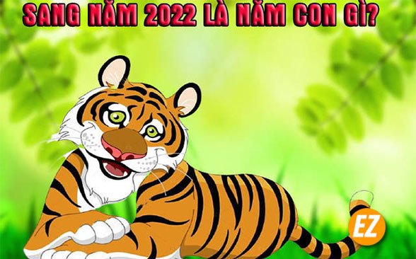 Năm 2022 là mệnh con gì? Tổng quan các tuổi đẹp