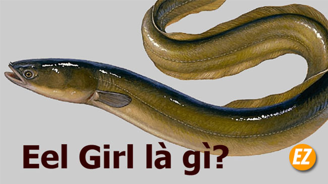 Eel Girl là gì? Vì sao Eel Girl lại đáng sợ đến như vậy