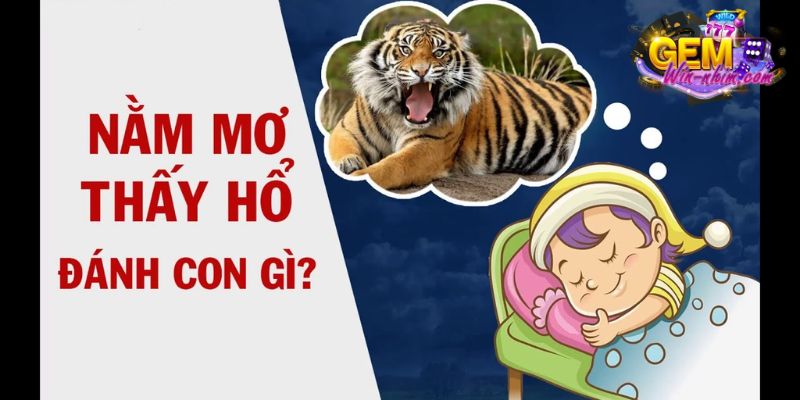 Nằm mơ thấy hổ vằn - Điềm lành hay điềm dữ?