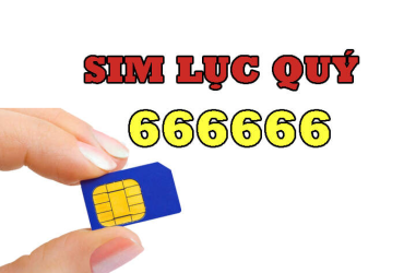 Bạn có biết vì sao sim lục quý Viettel lại đắt đỏ như vậy?